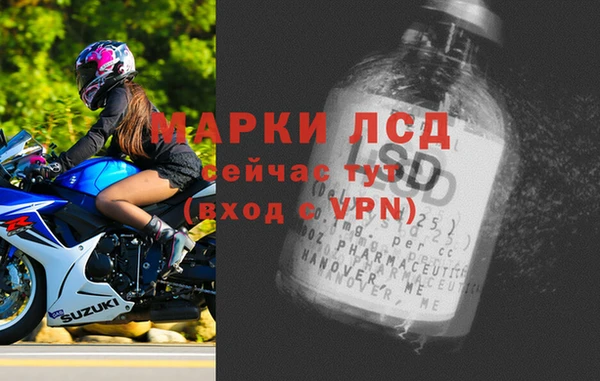 крисы Алзамай